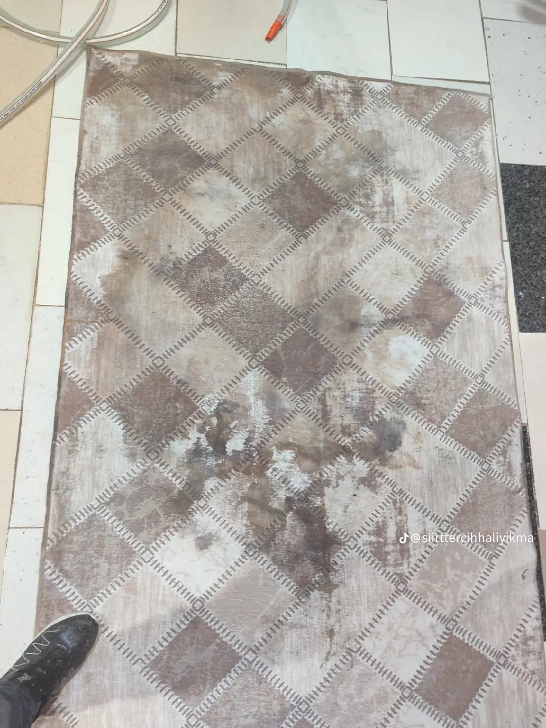 Tercih Halı Yıkama